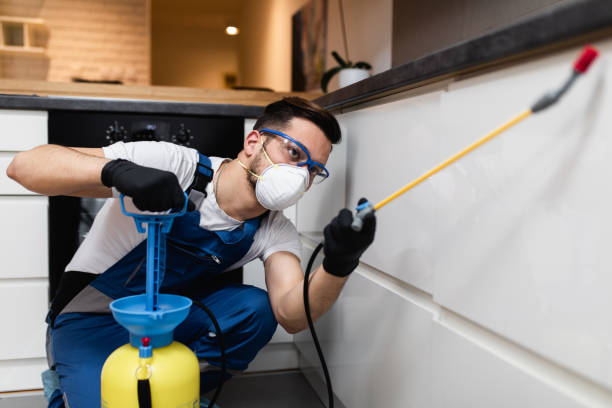 Best Wildlife Control Services  in Springville, UT