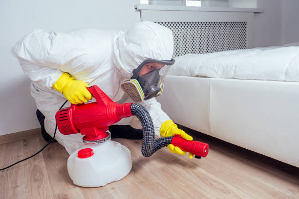 Best Pest Prevention Services  in Springville, UT