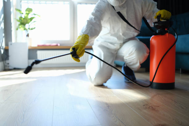 Flea Control Services in Springville, UT