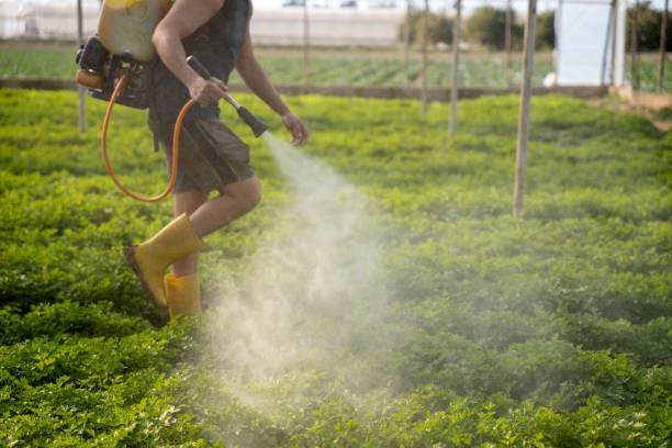 Best Pest Removal Services  in Springville, UT