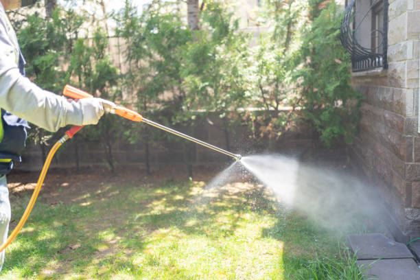 Wasp Removal Services in Springville, UT